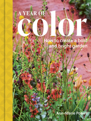 cover image of A Year of Color